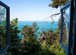 窗口期波尔图状态回暖——国王杯节点到来，管理层满意，医务组通报恢复